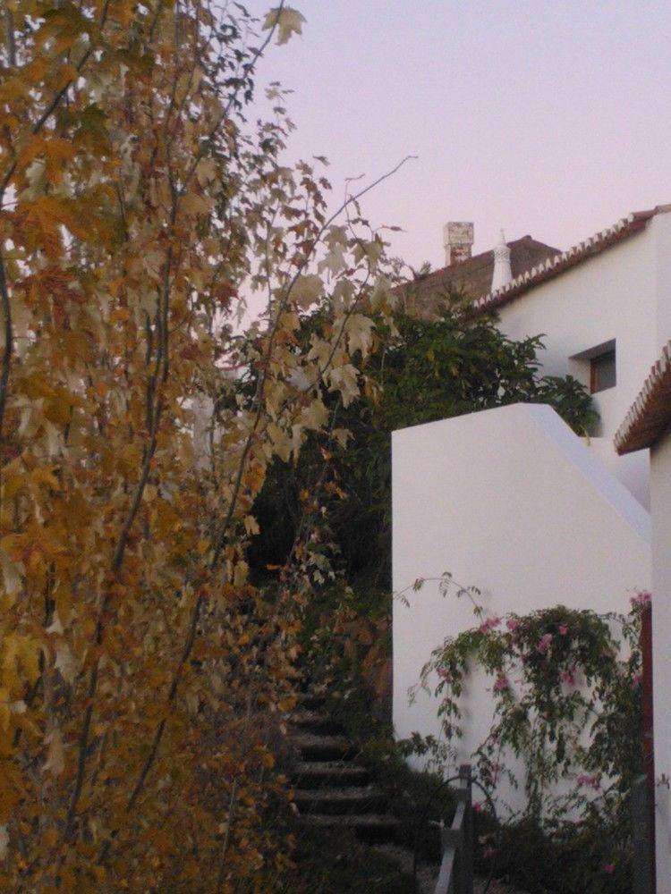 카스트로마림 Casas Do Palheiro Velho 게스트하우스 외부 사진