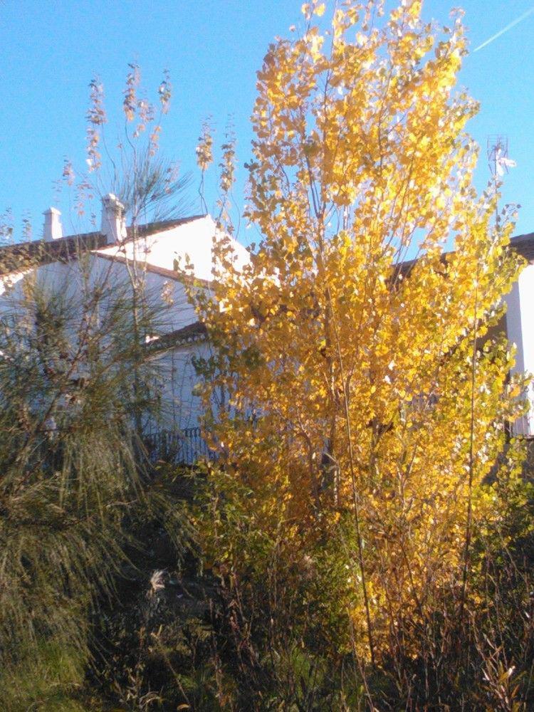 카스트로마림 Casas Do Palheiro Velho 게스트하우스 외부 사진